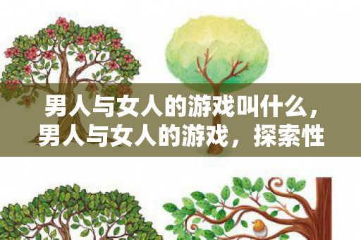 男人与女人的游戏叫什么，男人与女人的游戏，探索性别差异下的互动与平衡
