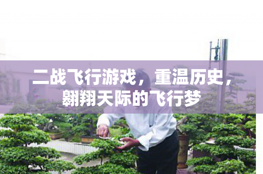 二战飞行游戏，重温历史，翱翔天际的飞行梦