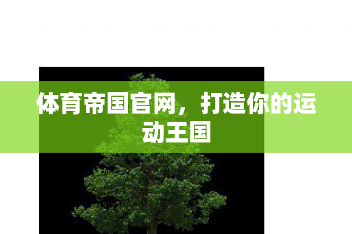 体育帝国官网，打造你的运动王国