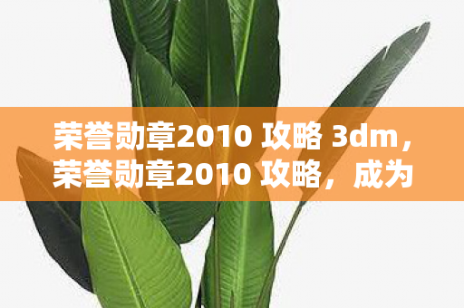 荣誉勋章2010 攻略 3dm,荣誉勋章2010 攻略,成为战场上的传奇 荣誉勋章2010 攻略 3dm,荣誉勋章2010 攻略,成为战场上的传奇