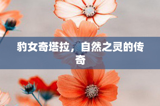 豹女奇塔拉,自然之灵的传奇 豹女奇塔拉,自然之灵的传奇