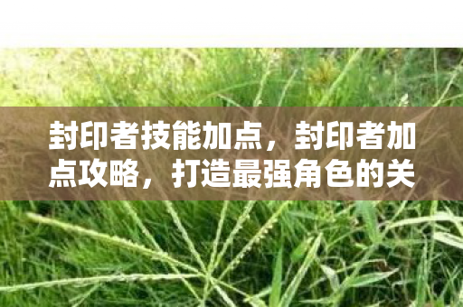 封印者技能加点,封印者加点攻略,打造最强角色的关键步骤 封印者技能加点,封印者加点攻略,打造最强角色的关键步骤