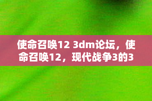使命召唤12 3dm论坛，使命召唤12，现代战争3的3DM版体验与解析
