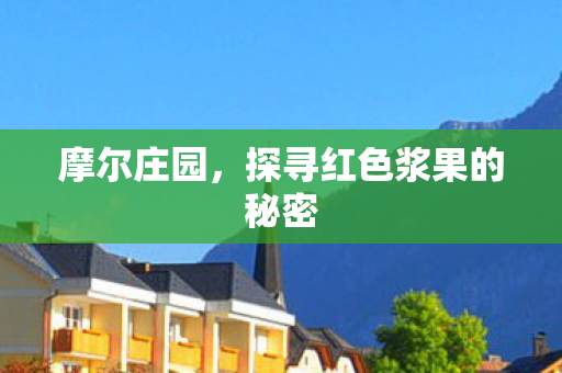 摩尔庄园，探寻红色浆果的秘密