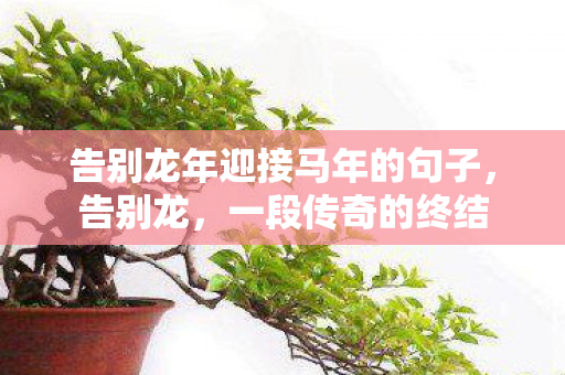 告别龙年迎接马年的句子，告别龙，一段传奇的终结