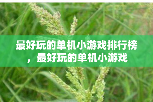 最好玩的单机小游戏排行榜，最好玩的单机小游戏
