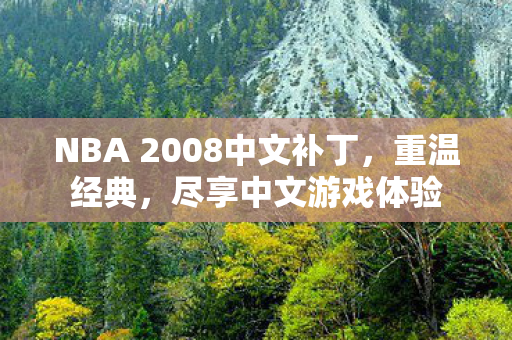 NBA 2008中文补丁，重温经典，尽享中文游戏体验