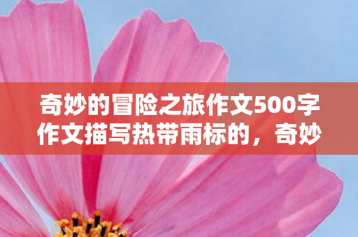 奇妙的冒险之旅作文500字作文描写热带雨标的，奇妙的冒险，探索未知世界的奇妙之旅