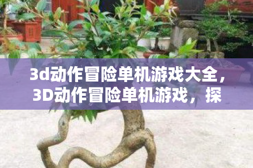 3d动作冒险单机游戏大全，3D动作冒险单机游戏，探索未知世界的极致体验