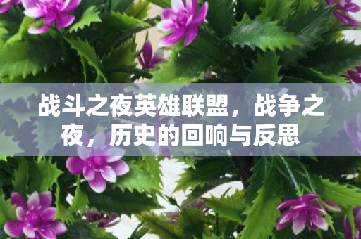 战斗之夜英雄联盟，战争之夜，历史的回响与反思