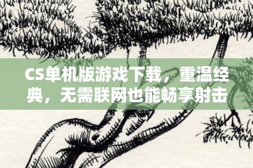CS单机版游戏下载,重温经典,无需联网也能畅享射击乐趣 CS单机版游戏下载,重温经典,无需联网也能畅享射击乐趣