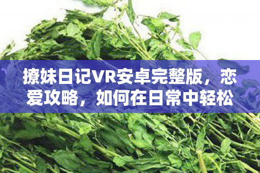撩妹日记VR安卓完整版，恋爱攻略，如何在日常中轻松撩到心仪的她