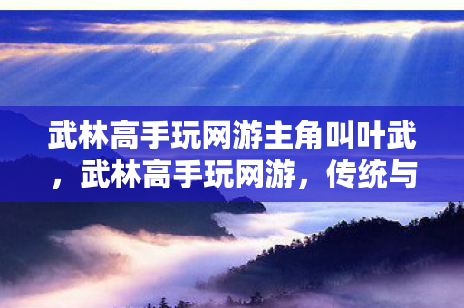 武林高手玩网游主角叫叶武,武林高手玩网游,传统与现代的碰撞 武林高手玩网游主角叫叶武,武林高手玩网游,传统与现代的碰撞