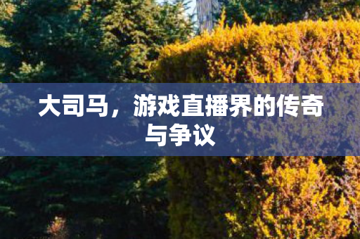 大司马，游戏直播界的传奇与争议