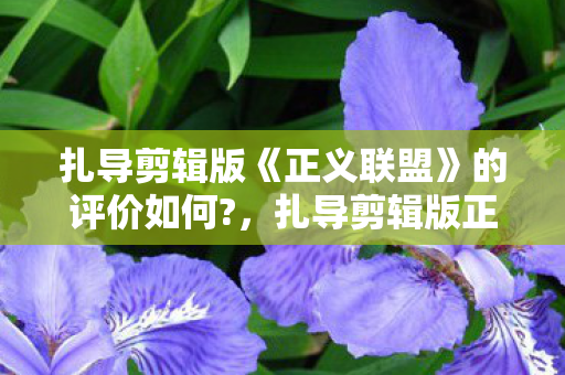 扎导剪辑版《正义联盟》的评价如何?，扎导剪辑版正义联盟，重塑超级英雄电影的经典