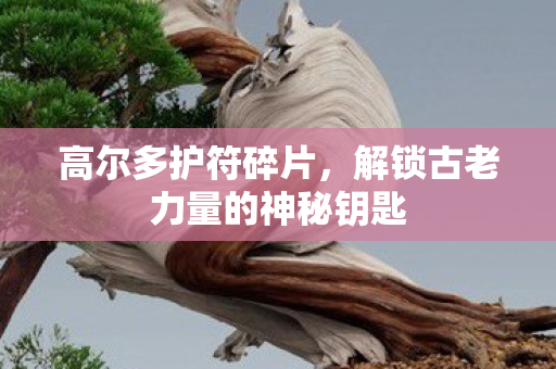 高尔多护符碎片，解锁古老力量的神秘钥匙
