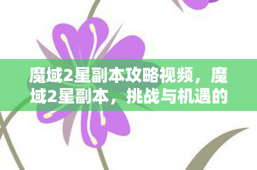 魔域2星副本攻略视频，魔域2星副本，挑战与机遇的交织