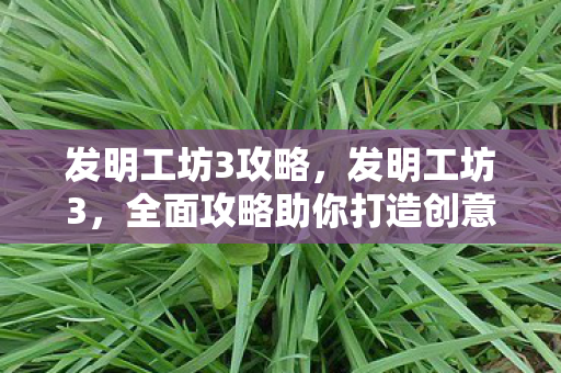 发明工坊3攻略，发明工坊3，全面攻略助你打造创意帝国