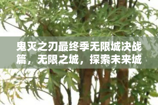 鬼灭之刃最终季无限城决战篇，无限之城，探索未来城市的的可能性