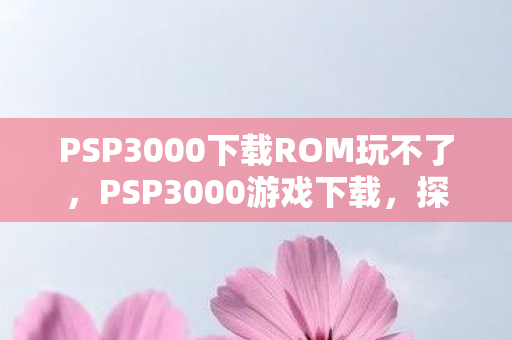 PSP3000下载ROM玩不了，PSP3000游戏下载，探索经典与回忆的旅程
