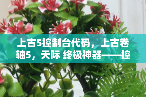 上古5控制台代码,上古卷轴5,天际 终极神器——控制台秘籍全解析 上古5控制台代码,上古卷轴5,天际 终极神器——控制台秘籍全解析