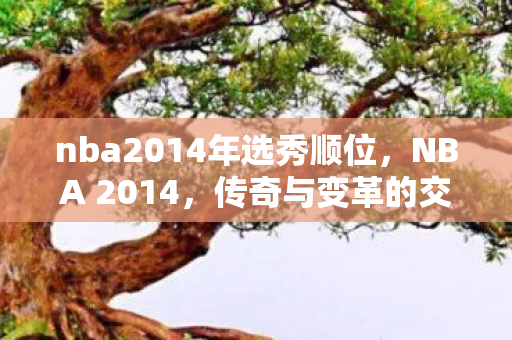 nba2014年选秀顺位，NBA 2014，传奇与变革的交汇点