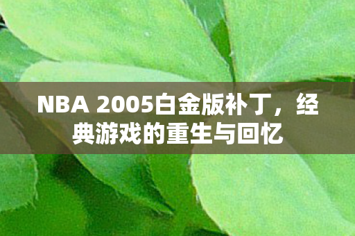 NBA 2005白金版补丁，经典游戏的重生与回忆