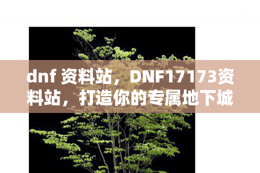 dnf 资料站,DNF17173资料站,打造你的专属地下城与勇士攻略站 dnf 资料站,DNF17173资料站,打造你的专属地下城与勇士攻略站