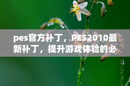 pes官方补丁，PES2010最新补丁，提升游戏体验的必备利器