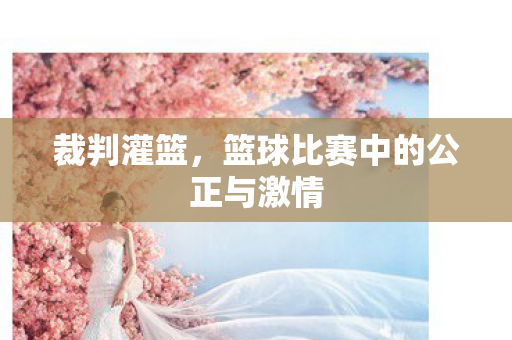 裁判灌篮，篮球比赛中的公正与激情