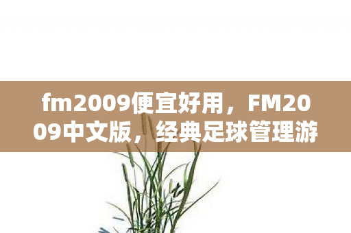 fm2009便宜好用，FM2009中文版，经典足球管理游戏的中文之旅