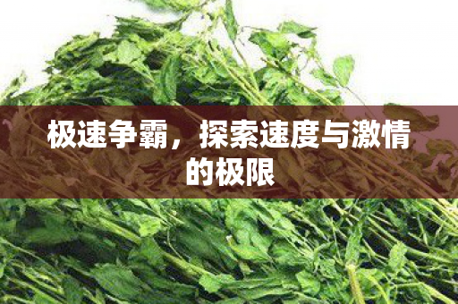 极速争霸，探索速度与激情的极限