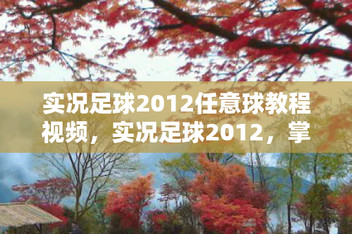 实况足球2012任意球教程视频，实况足球2012，掌握任意球技巧，主宰绿茵场