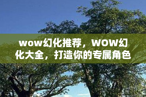 wow幻化推荐，WOW幻化大全，打造你的专属角色风格