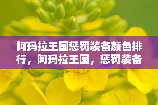 阿玛拉王国惩罚装备颜色排行，阿玛拉王国，惩罚装备的全面解析