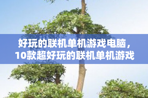 好玩的联机单机游戏电脑，10款超好玩的联机单机游戏，带你领略不一样的游戏世界