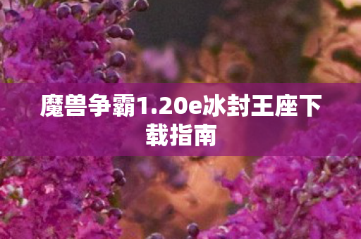 魔兽争霸1.20e冰封王座下载指南
