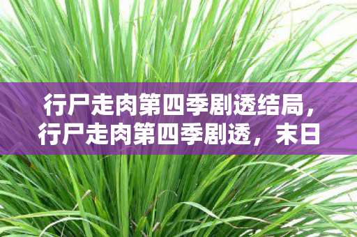 行尸走肉第四季剧透结局,行尸走肉第四季剧透,末日下的生存与人性挣扎 行尸走肉第四季剧透结局,行尸走肉第四季剧透,末日下的生存与人性挣扎