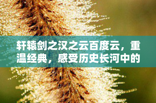 轩辕剑之汉之云百度云，重温经典，感受历史长河中的剑影与情长