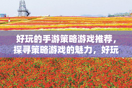 好玩的手游策略游戏推荐，探寻策略游戏的魅力，好玩的手游策略游戏推荐