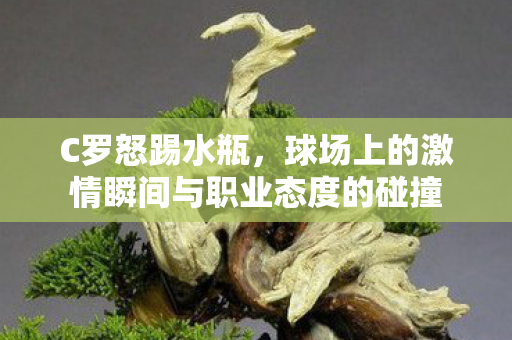 C罗怒踢水瓶，球场上的激情瞬间与职业态度的碰撞