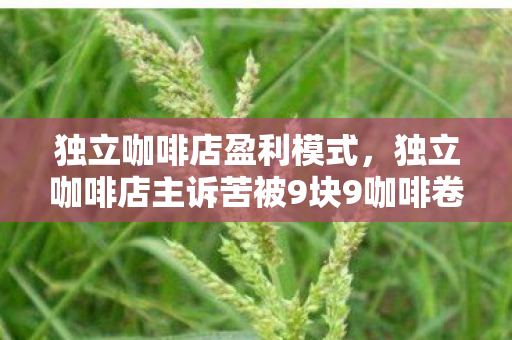 独立咖啡店盈利模式，独立咖啡店主诉苦被9块9咖啡卷死