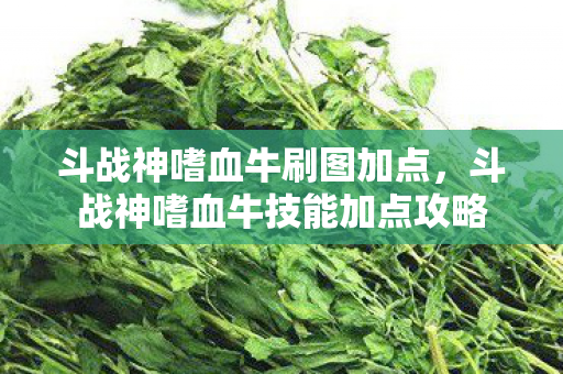 斗战神嗜血牛刷图加点，斗战神嗜血牛技能加点攻略