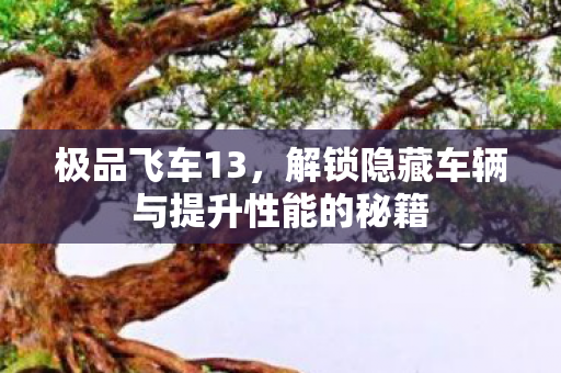 极品飞车13，解锁隐藏车辆与提升性能的秘籍