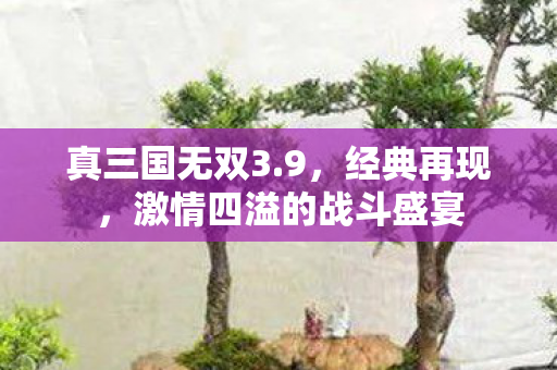 真三国无双3.9，经典再现，激情四溢的战斗盛宴