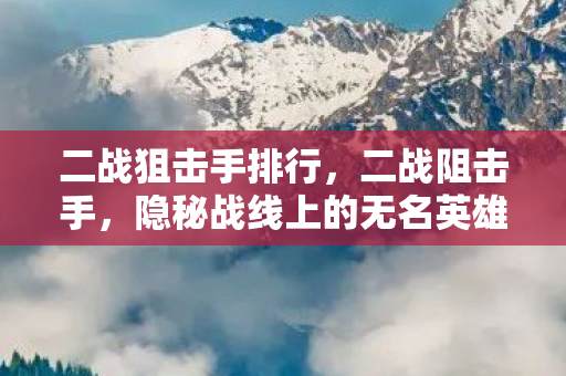 二战狙击手排行，二战阻击手，隐秘战线上的无名英雄