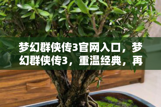 梦幻群侠传3官网入口，梦幻群侠传3，重温经典，再续传奇