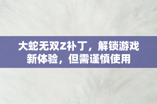 大蛇无双Z补丁，解锁游戏新体验，但需谨慎使用