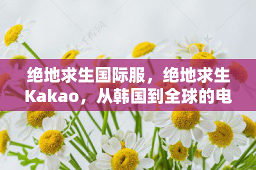 绝地求生国际服,绝地求生Kakao,从韩国到全球的电竞盛宴 绝地求生国际服,绝地求生Kakao,从韩国到全球的电竞盛宴
