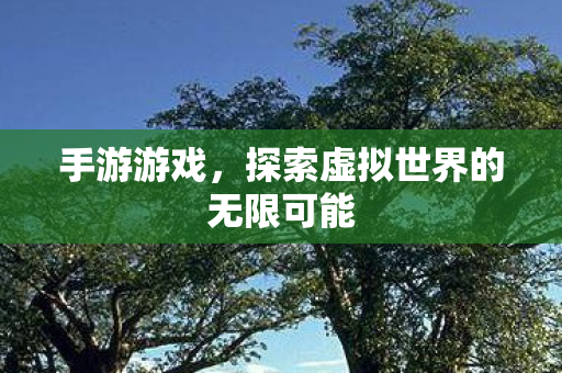 手游游戏，探索虚拟世界的无限可能